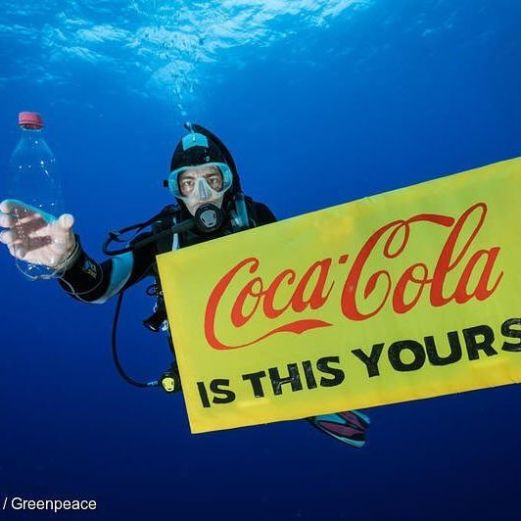 42834165_272709173353886_3111538025122529212_n